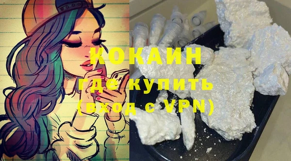 прущие грибы Аркадак