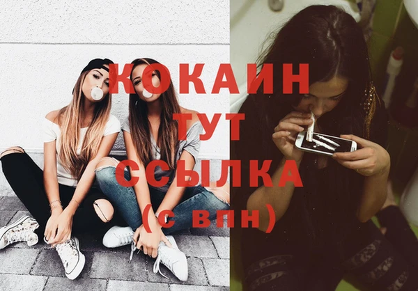 прущие грибы Аркадак