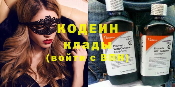 прущие грибы Аркадак